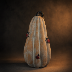 Ladybug-Heirloom-Gourd